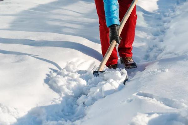 Immediate Steps to Take After a tree fell on house Incident