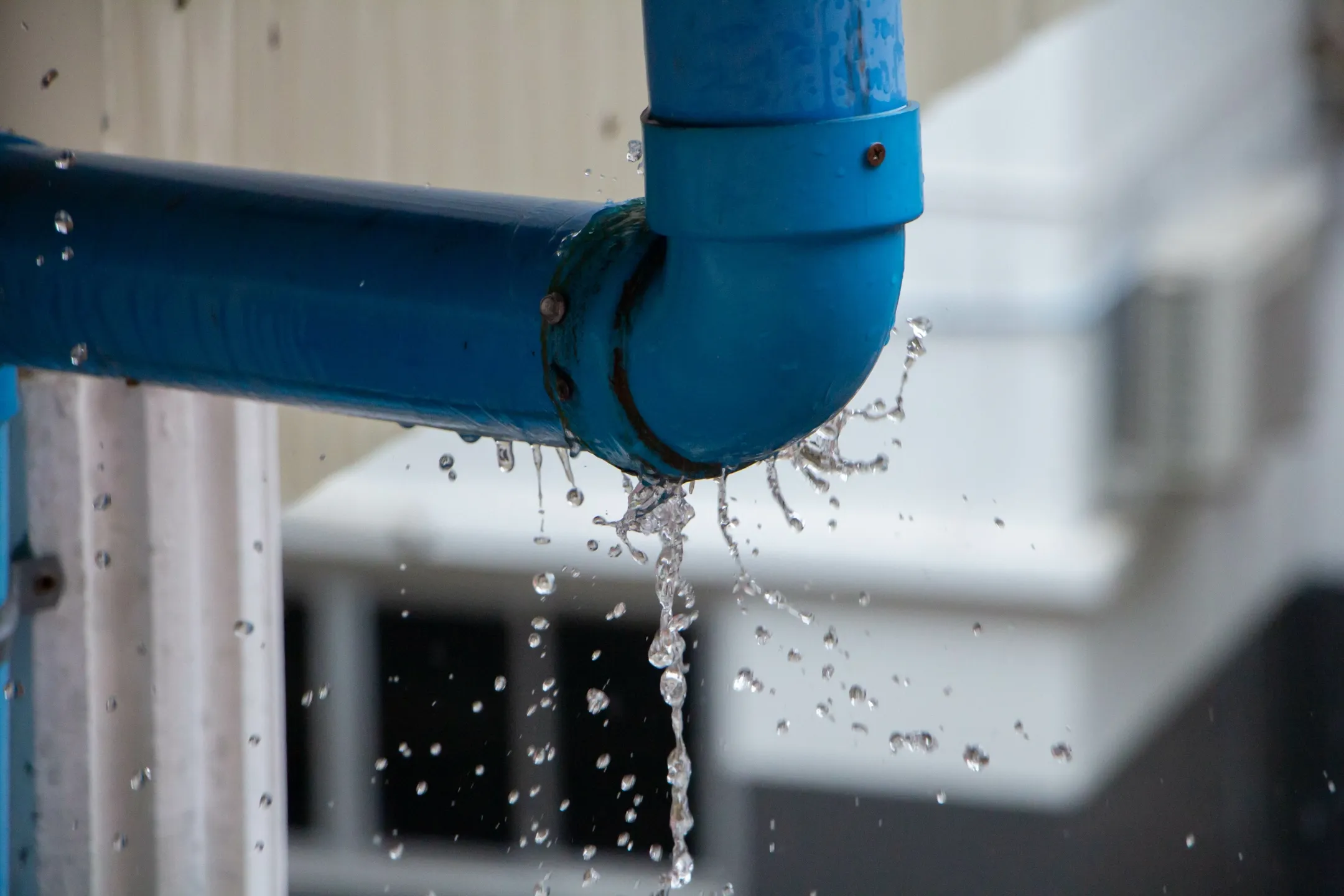 Professional Water Damage Repair in Oregon City for Lasting Results