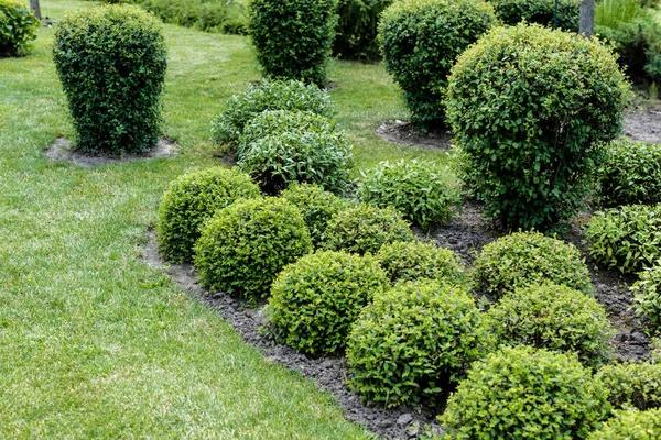 Innovative Custom Landscape Design Solutions for Your Yard