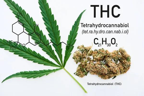 Understanding Delta-8 THC Through Responsible Consumer Research