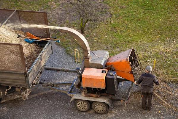 Experienced Professionals for Residential tree service