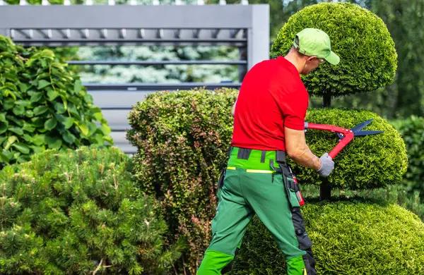 Affordable Landscaping Services for Every Type of Outdoor Space